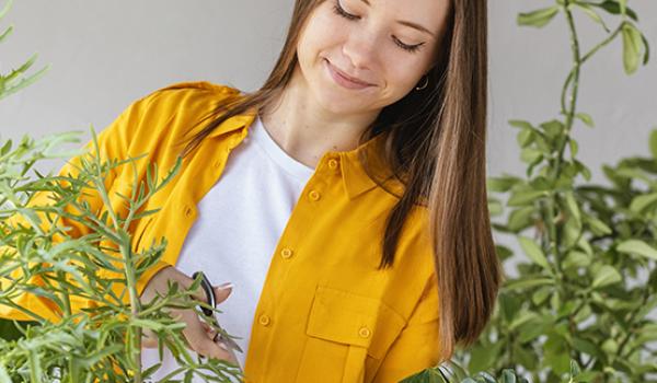 L'essentiel de la naturopathie
